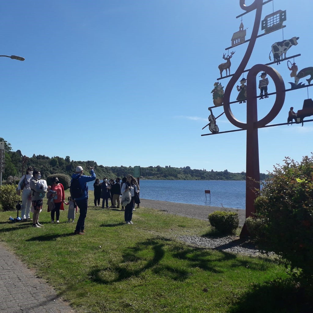 Medio día en Frutillar: Paseo Histórico, Tour Teatro del Lago y  Almuerzo