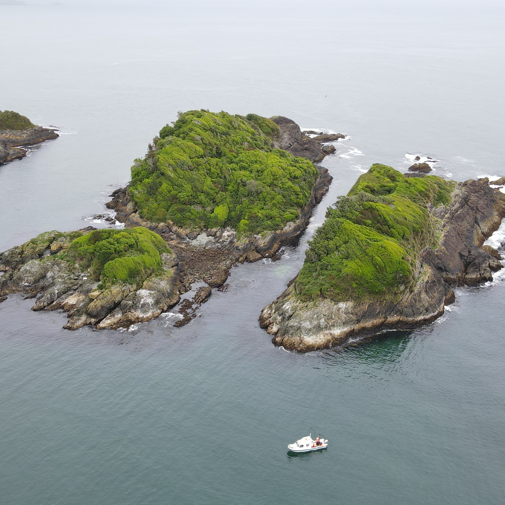 Loberias Raúl Marín - Carretera Austral