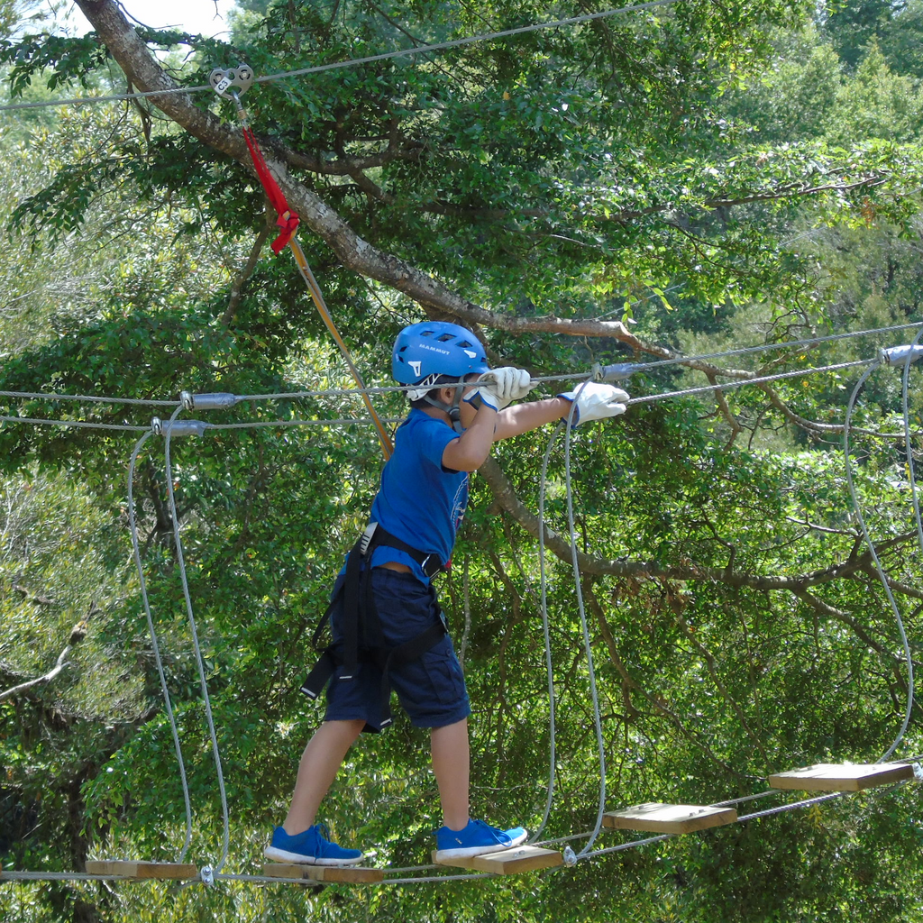 Canopy y Arborismo - Puerto Octay