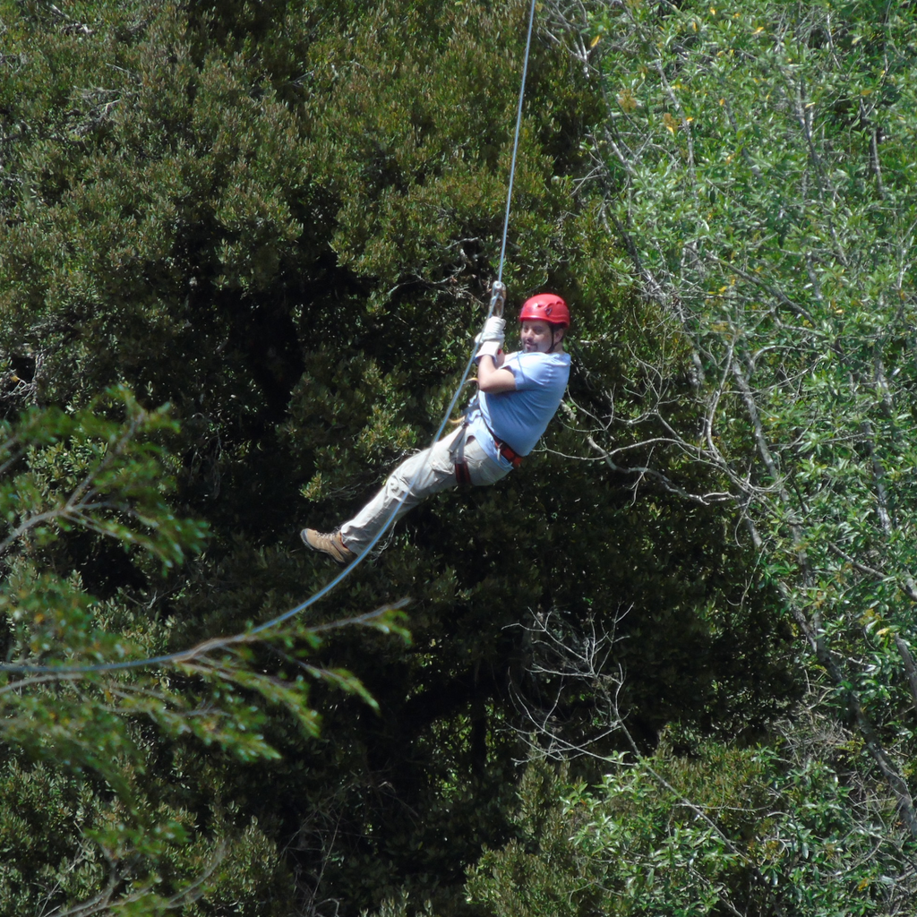 Canopy y Arborismo - Puerto Octay