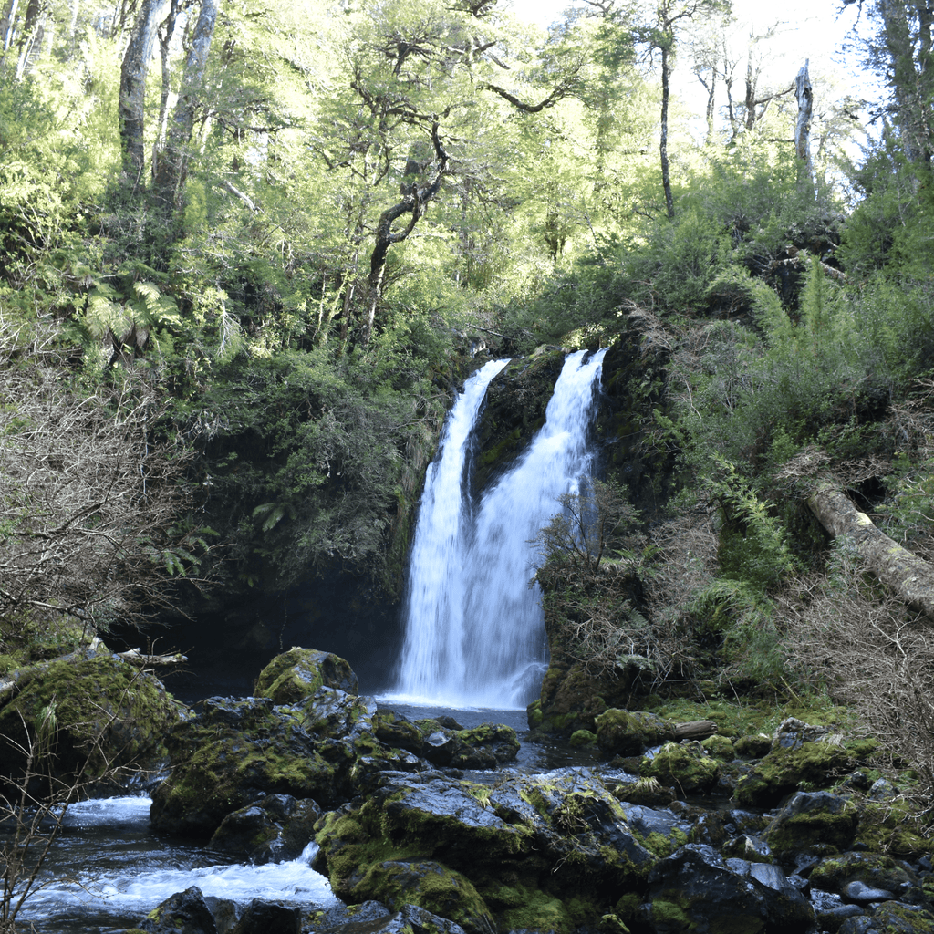 Trekking Mirador de los Volcanes - Ranco