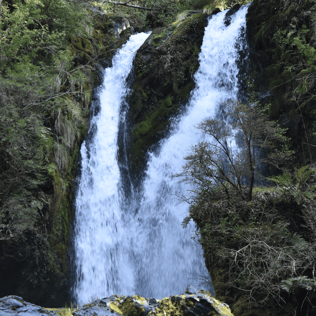Trekking Mirador de los Volcanes - Ranco