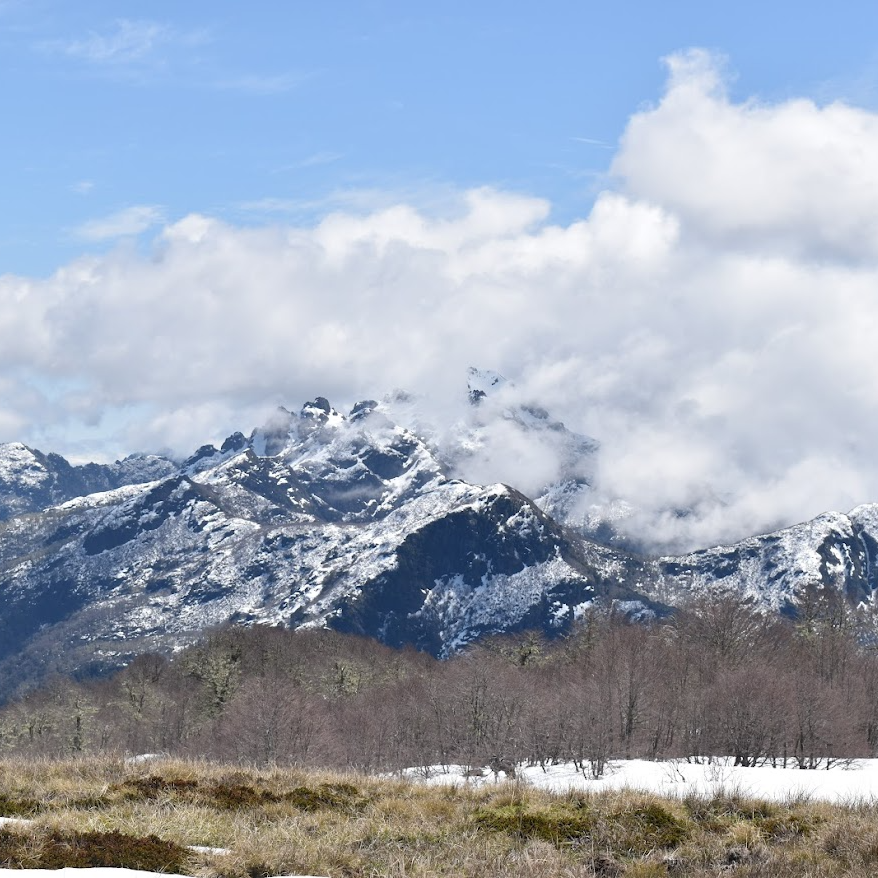Trekking Mirador de los Volcanes - Ranco