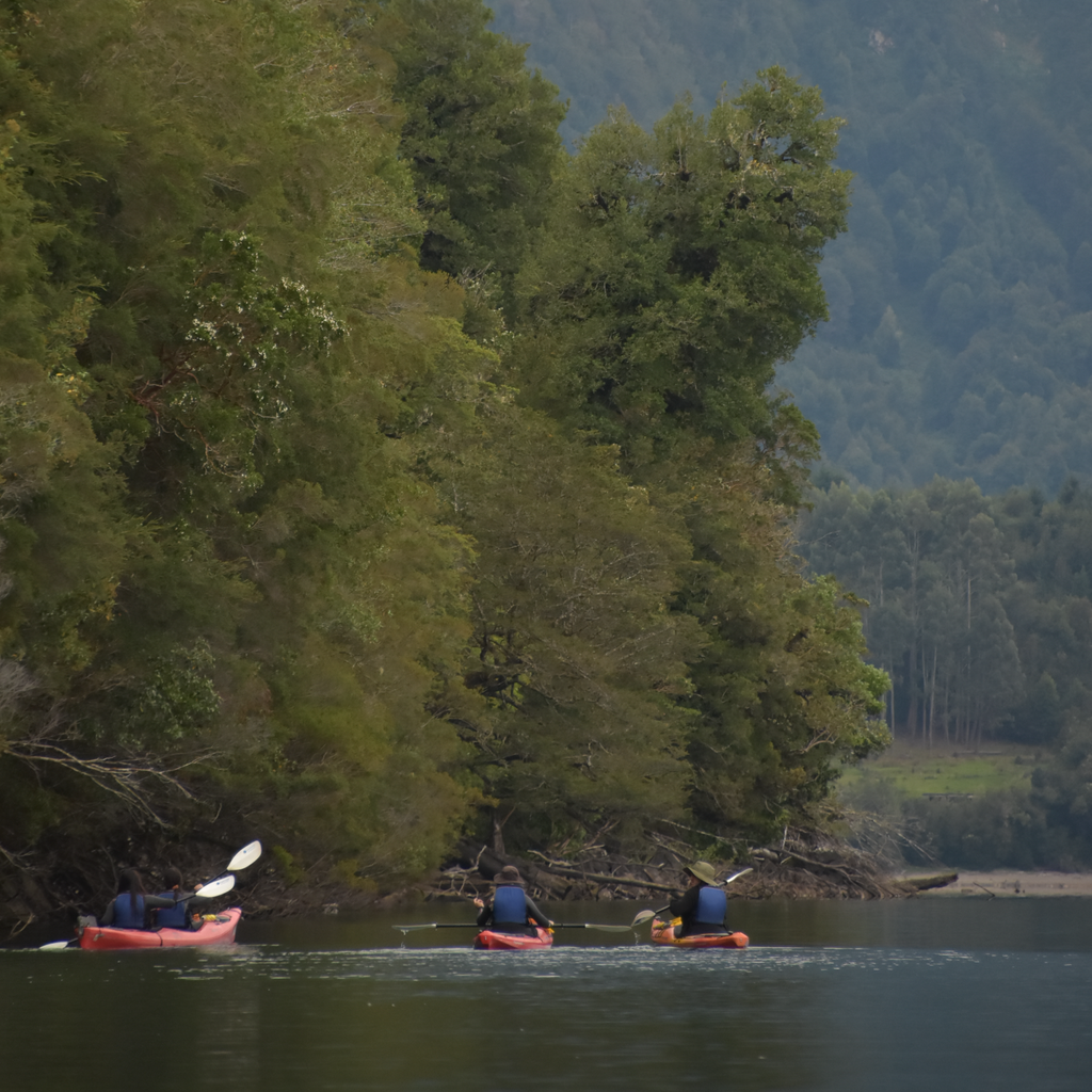 Kayak Lago Rosselot - Carretera Austral