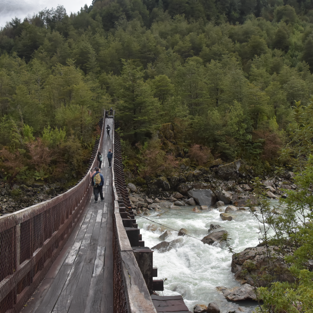 Trekking Ventisquero Queulat - Carretera Austral