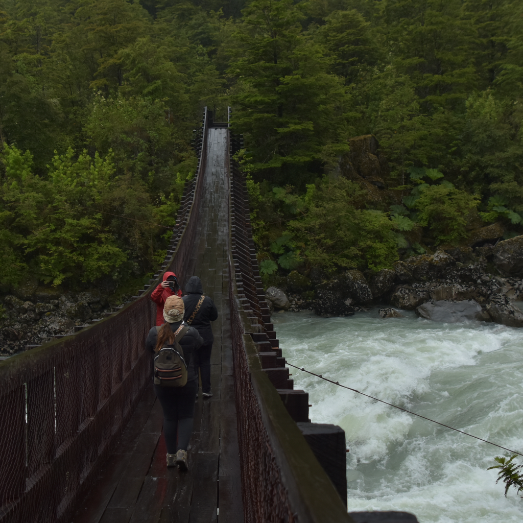 Trekking Ventisquero Queulat - Carretera Austral