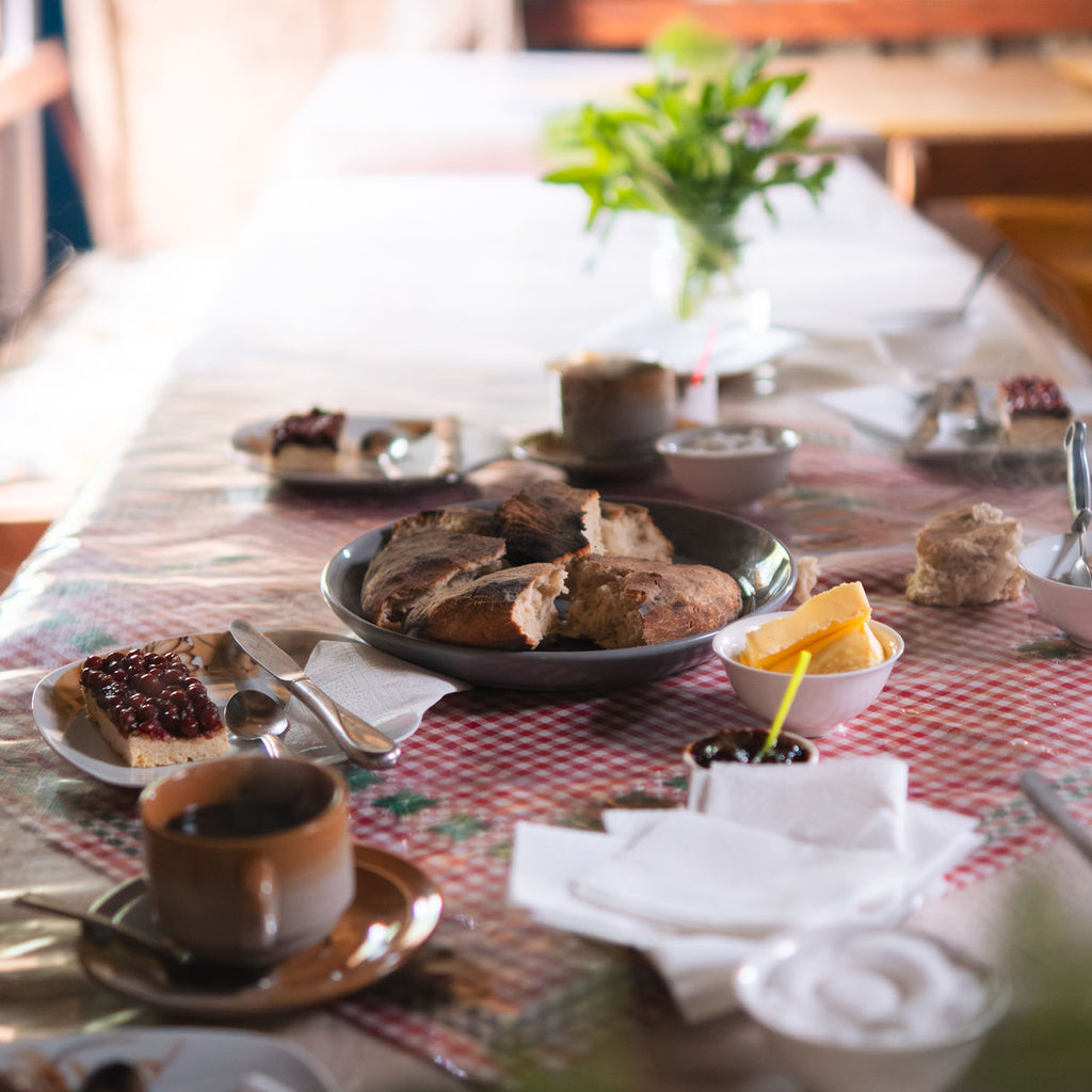 Tour Escénico Isla Huapi con alojamiento en Futrono - 5 personas