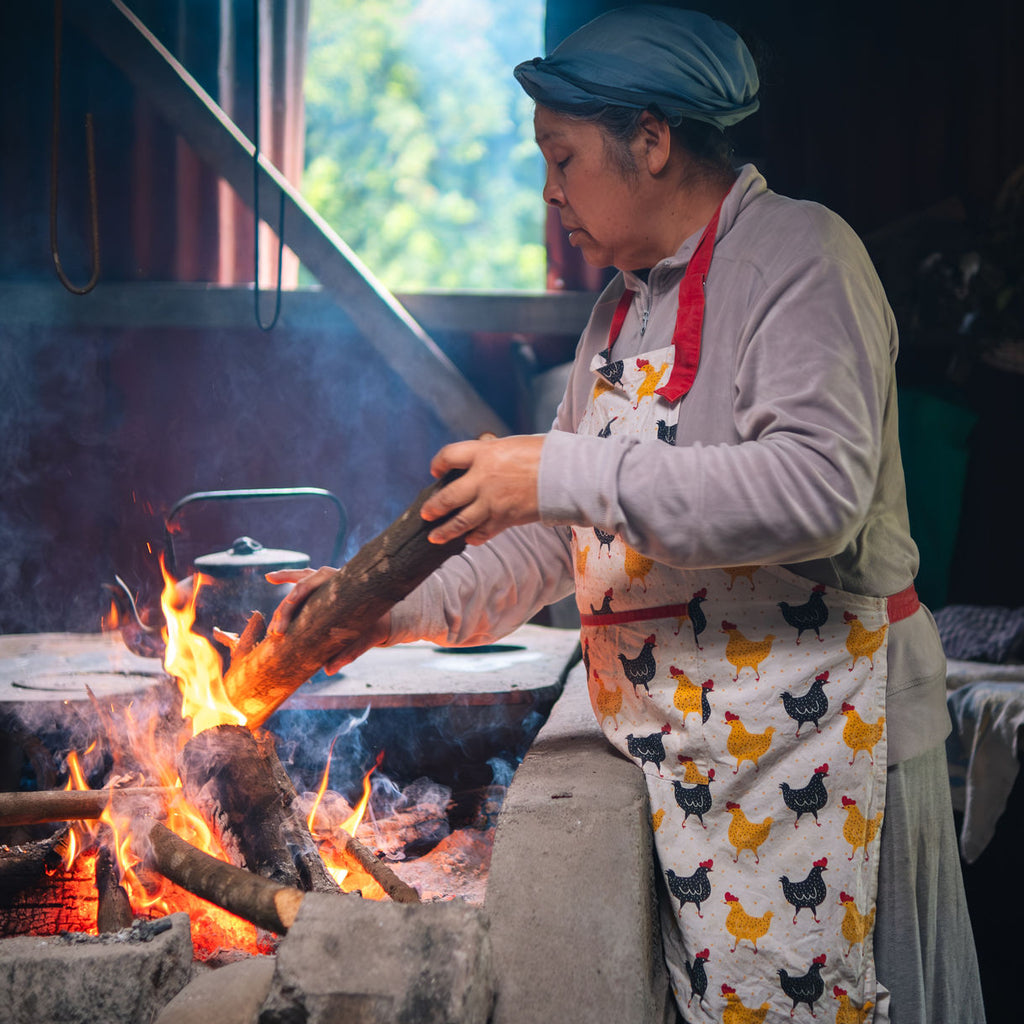 Tour Escénico Isla Huapi con alojamiento en Futrono - 5 personas