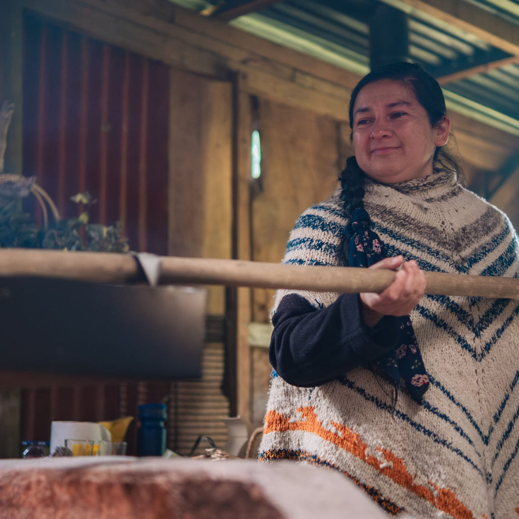 Tour Escénico Isla Huapi con alojamiento en Futrono - 5 personas
