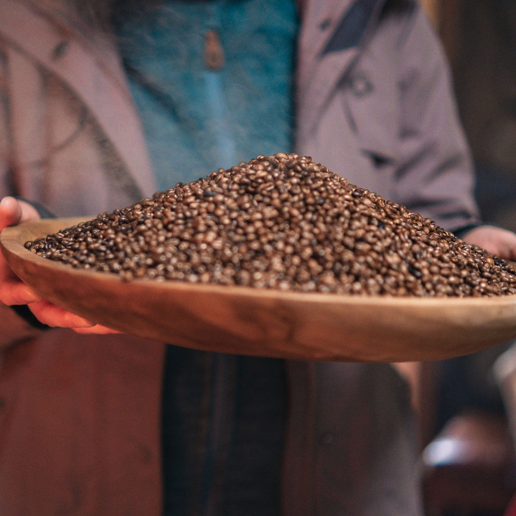 Tour Escénico Isla Huapi con alojamiento en Futrono - 5 personas