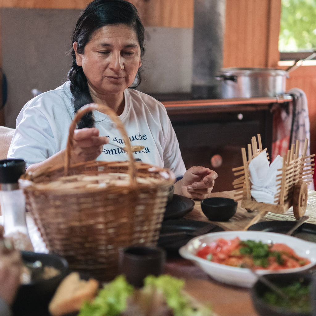 Tour Escénico Isla Huapi con alojamiento en Futrono - 5 personas