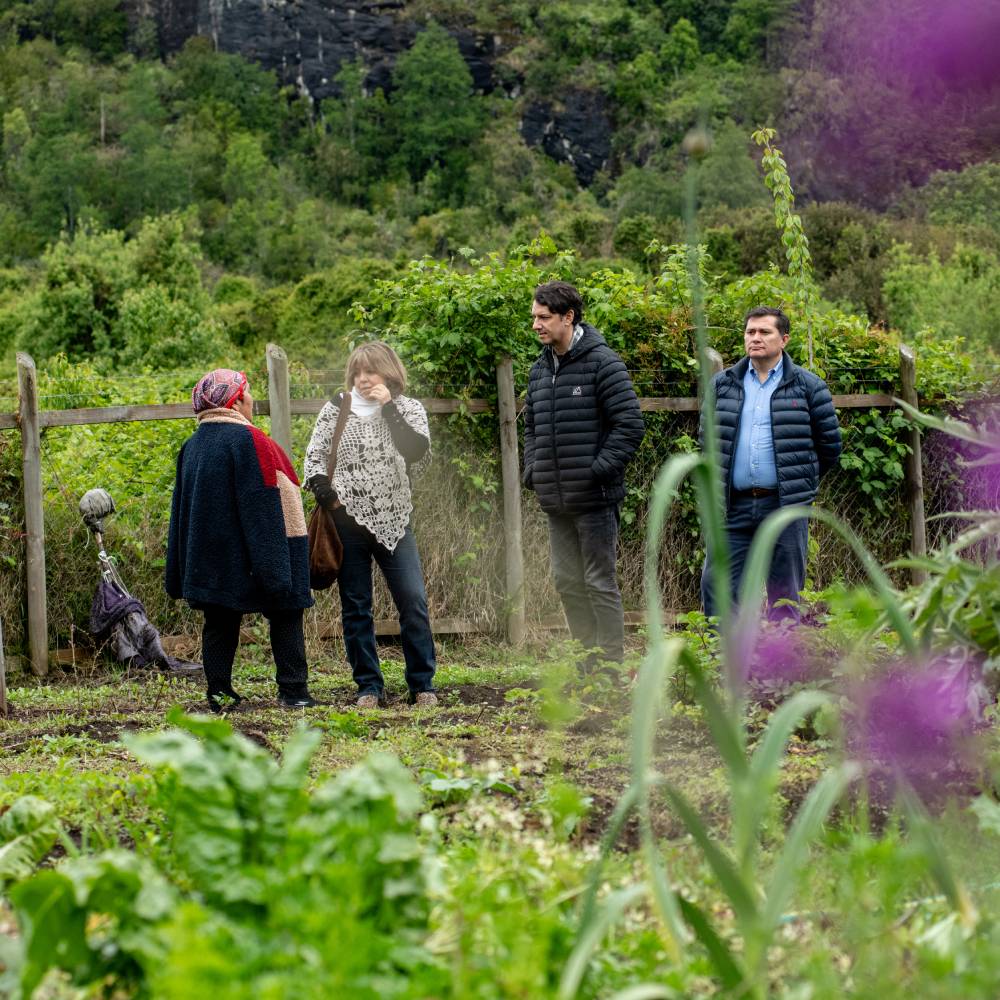 Viaje de saberes y sabores ancestrales en Llifén