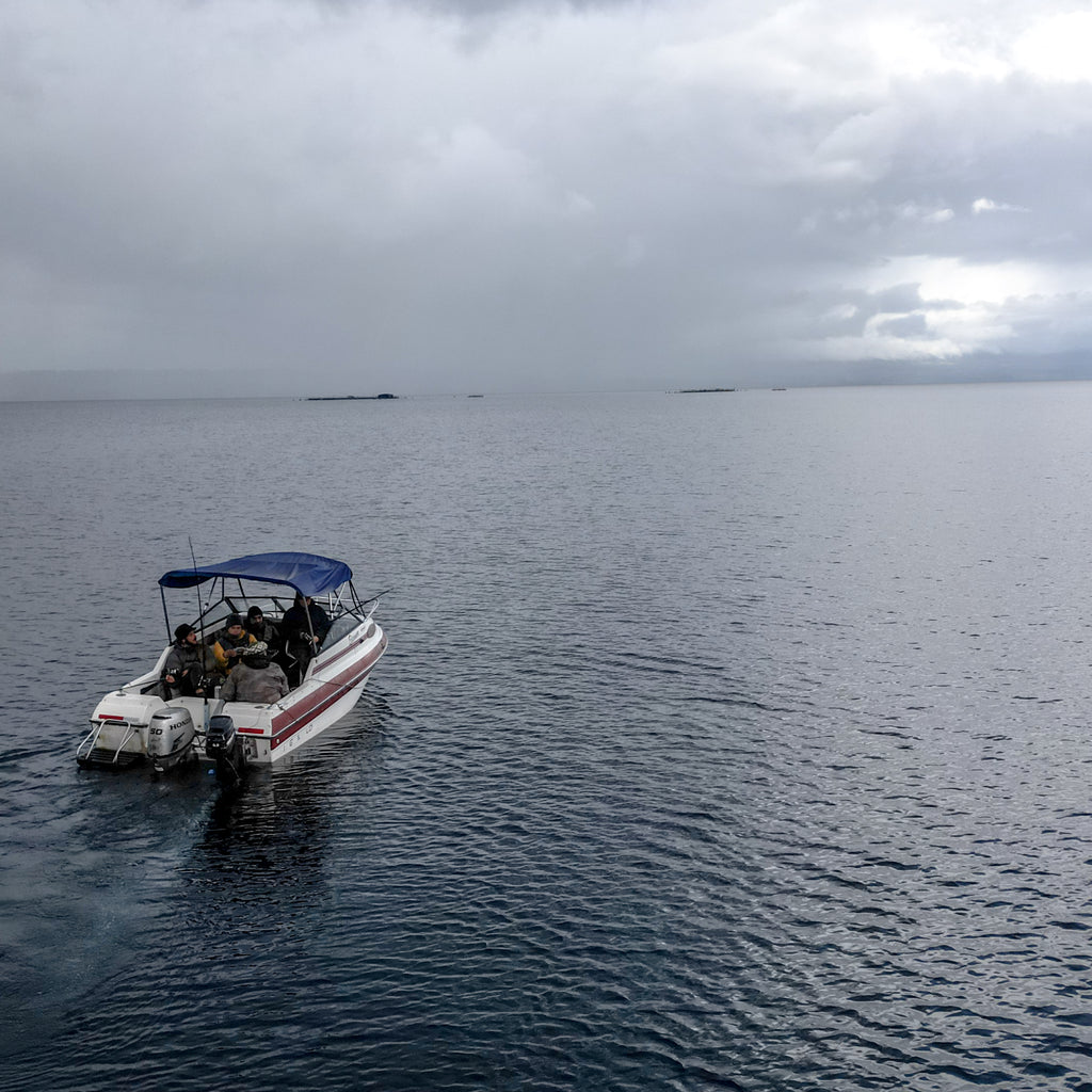 Pesca Mágica en Lago Rupanco