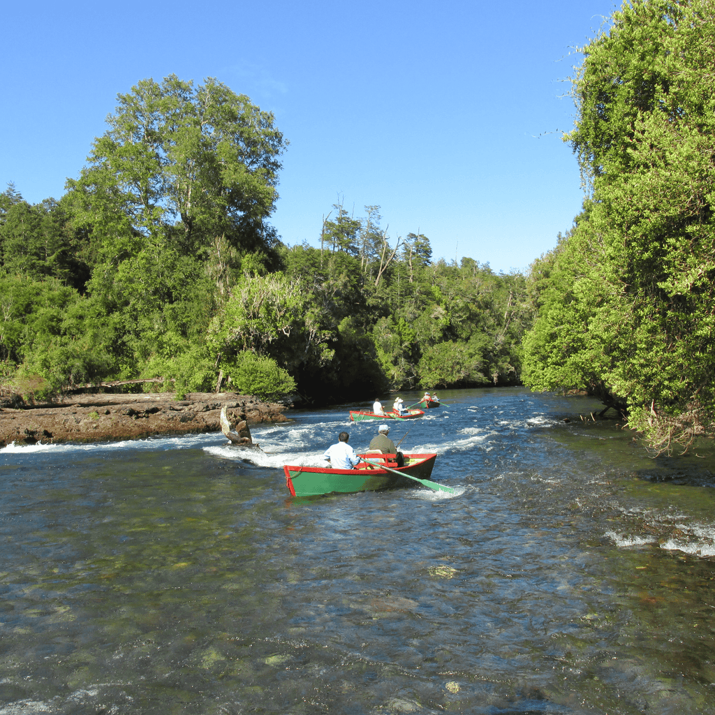 Excursión de Pesca - Puerto Octay