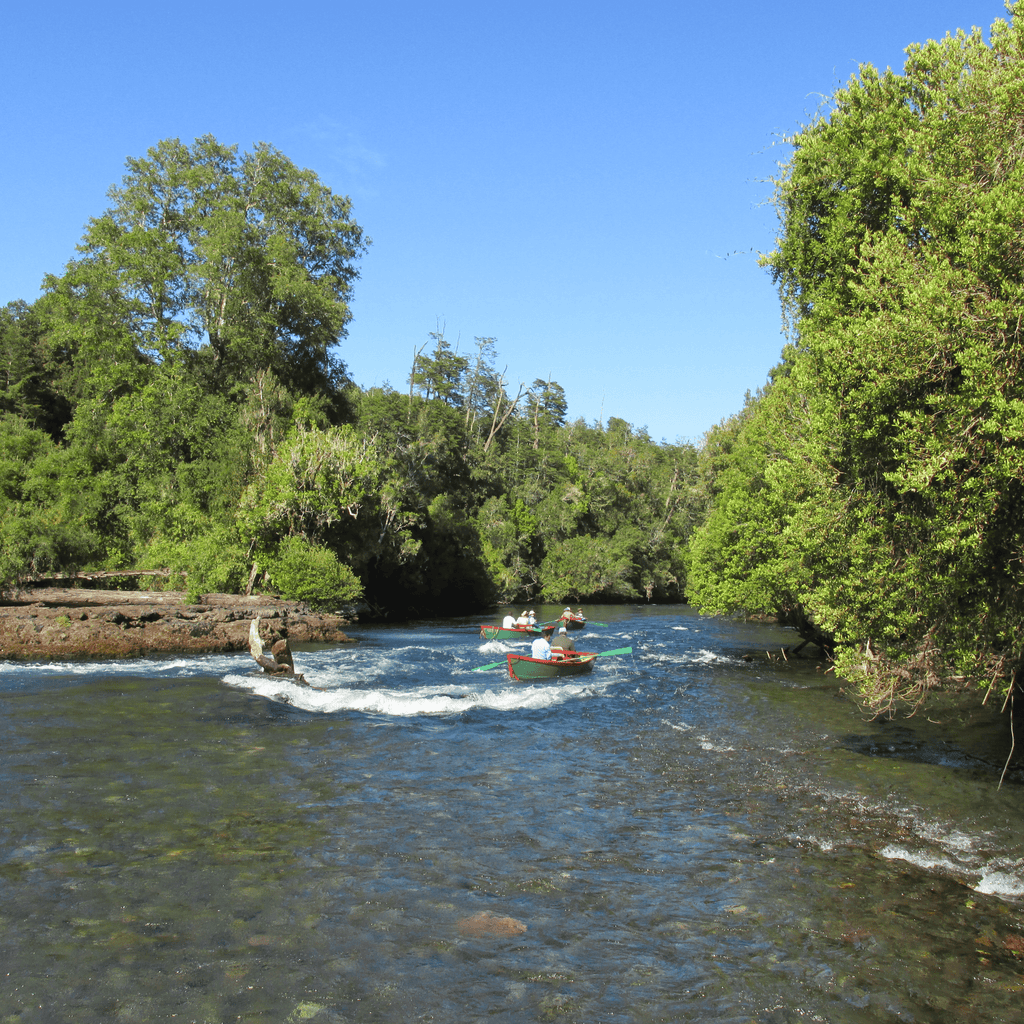 Excursión de Pesca - Puerto Octay