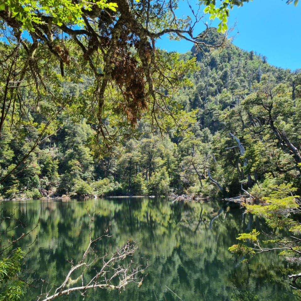 Trekking Cerro Pico Toribio - Ranco