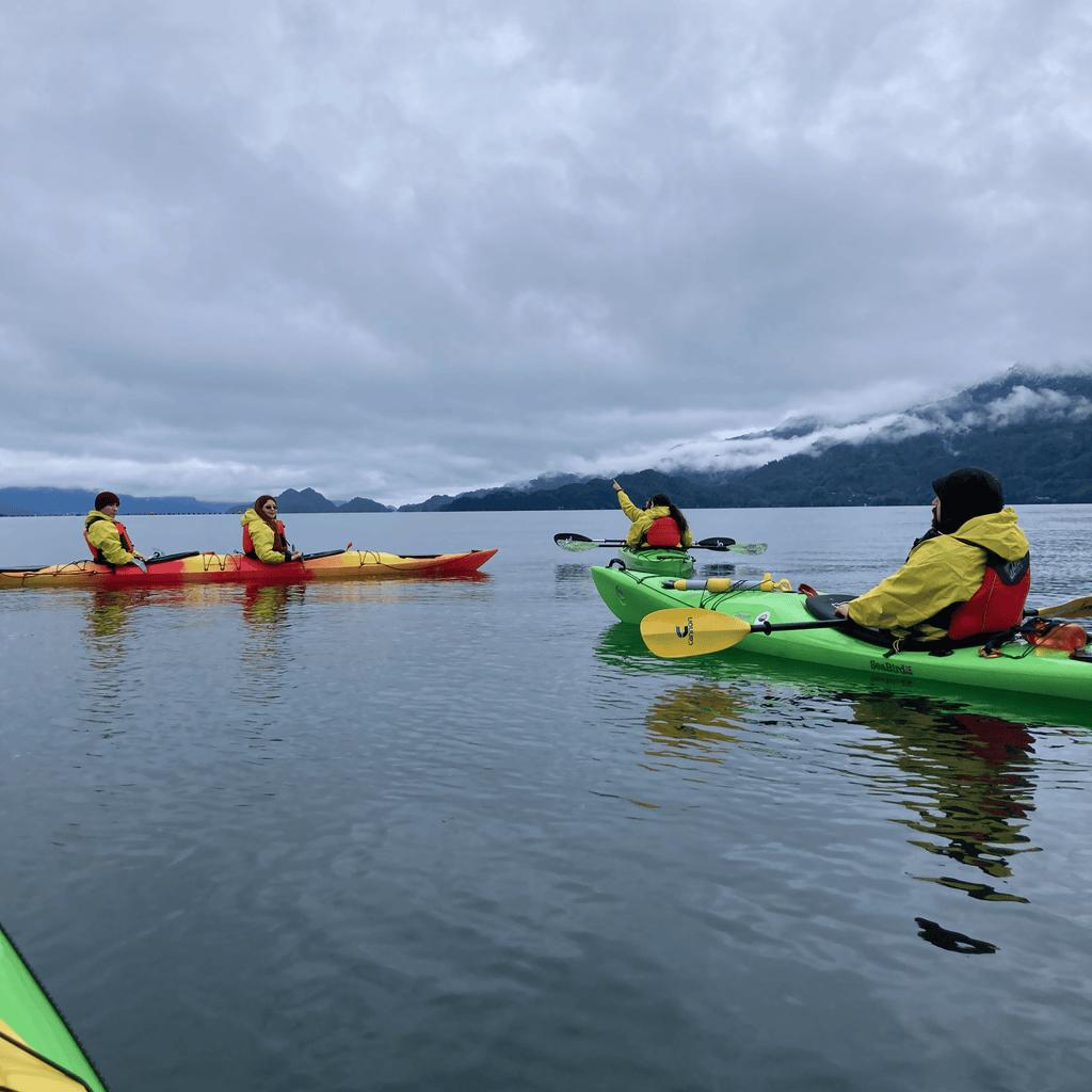 Kayak en el fiordo de Reloncaví