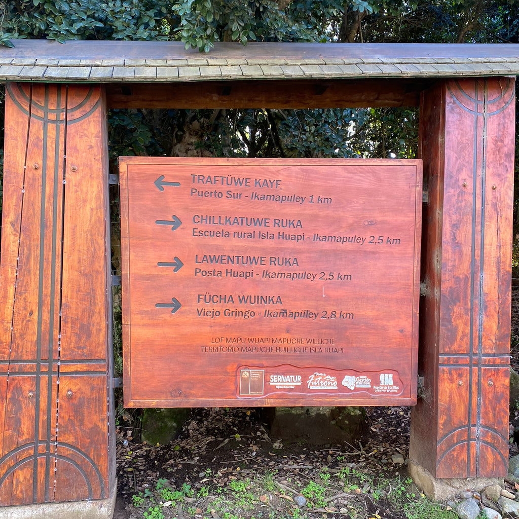 Conociendo nuestros ancestros en Isla Huapi - Mínimo 6 pasajeros