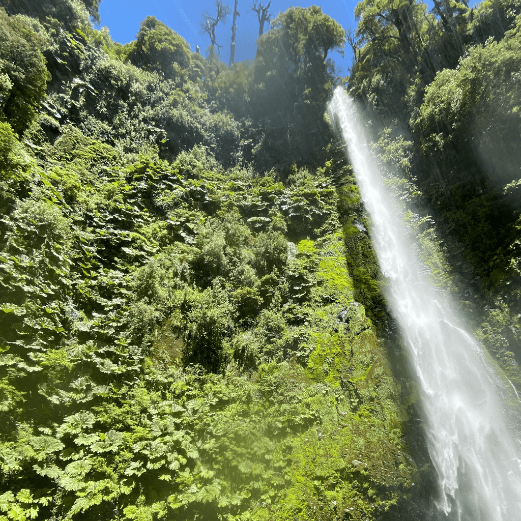 Tour 3 Saltos de Palguin - Pucón