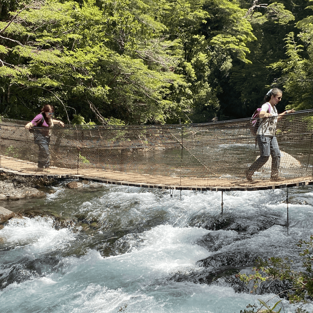 Tour 3 Saltos de Palguin - Pucón