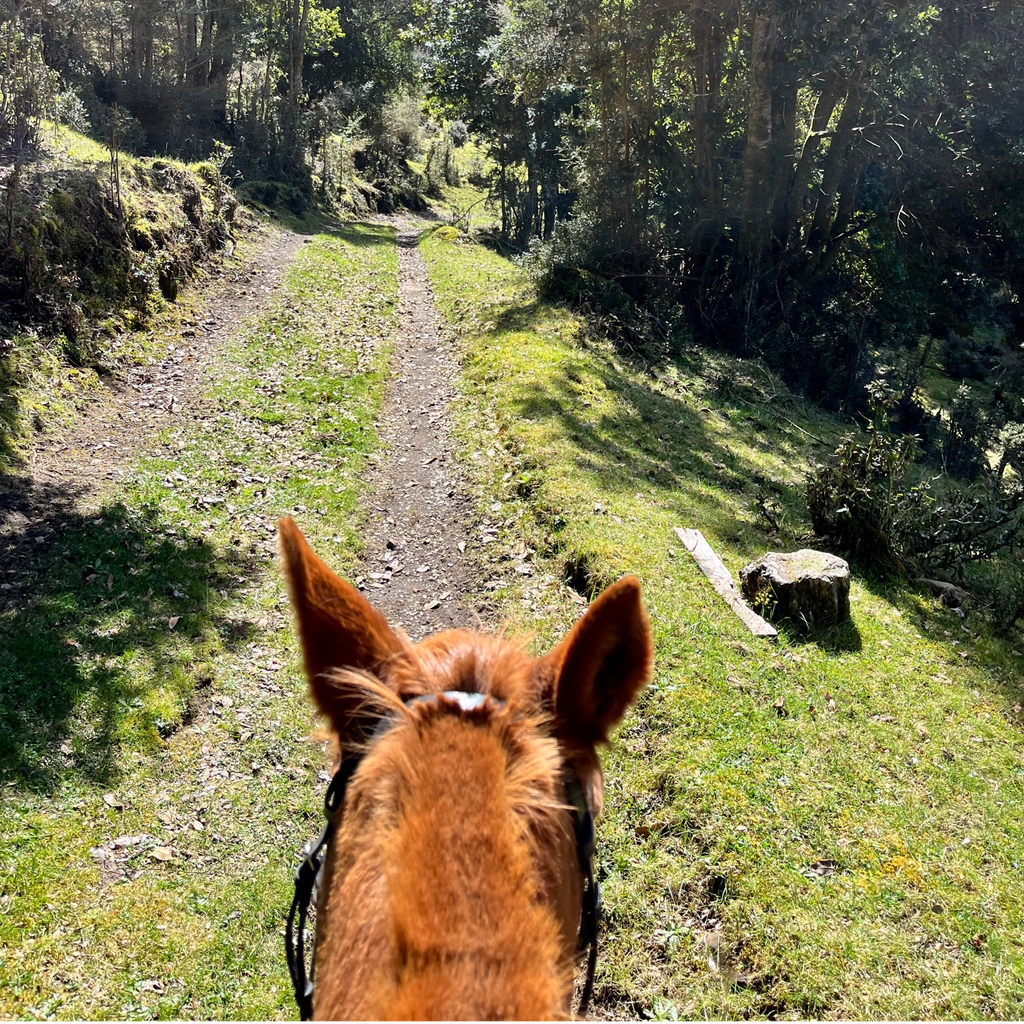 Cabalgata Valle Esperanza - Sin transporte