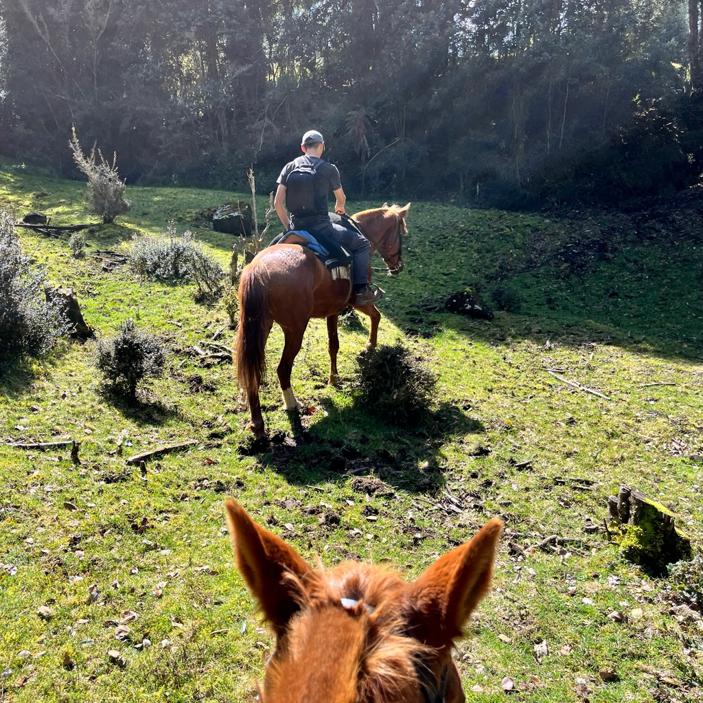 Cabalgata Valle Esperanza - Sin transporte