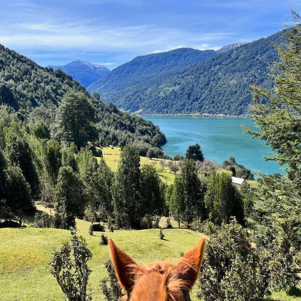 Cabalgata Valle Esperanza - Sin transporte