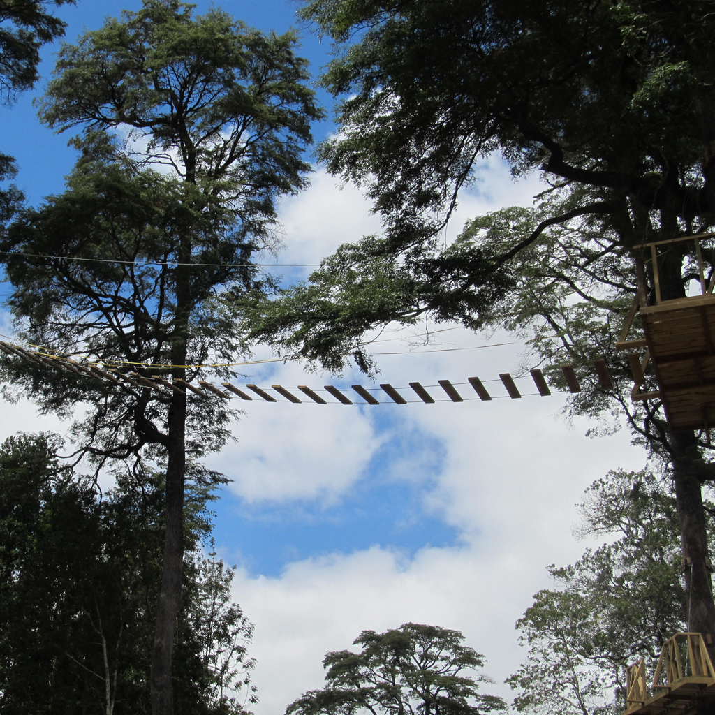 Canopy y Arborismo - Puerto Octay