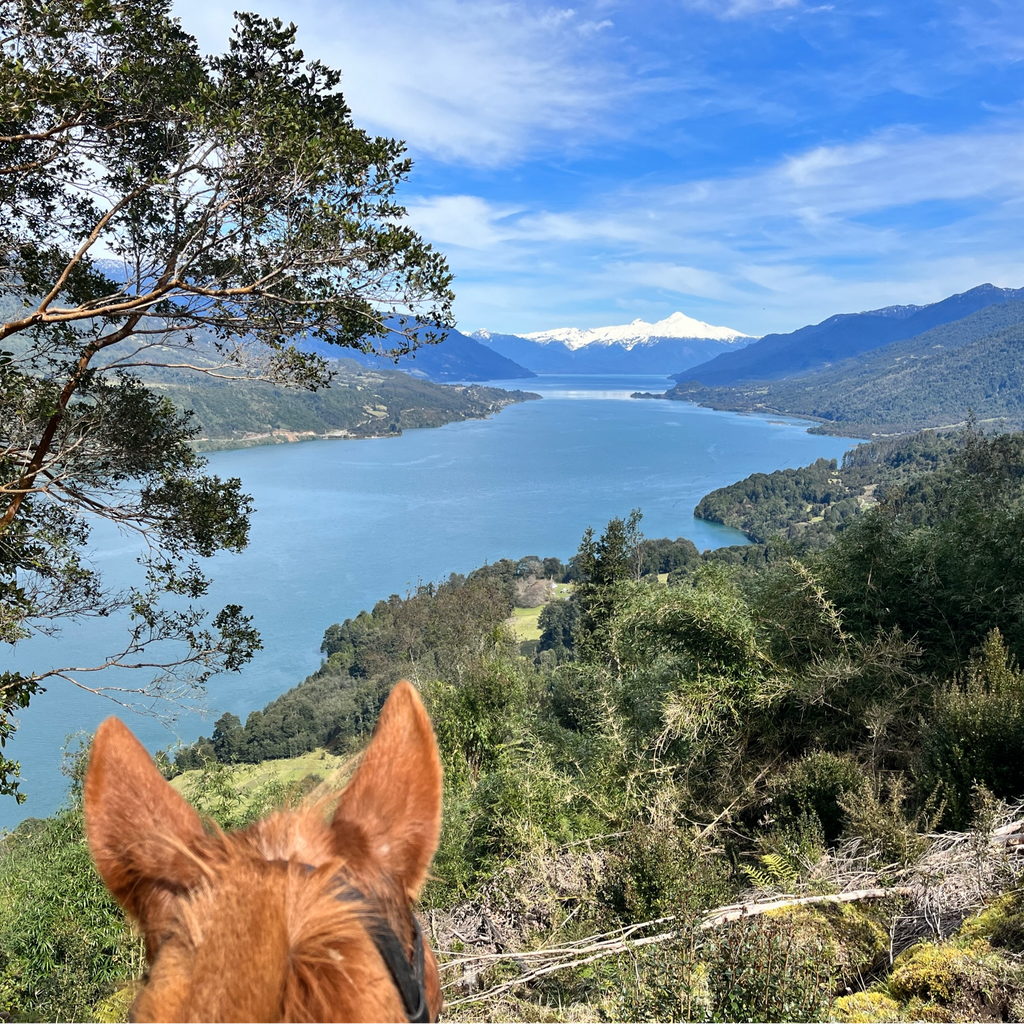 Cabalgata Valle Esperanza - Sin transporte