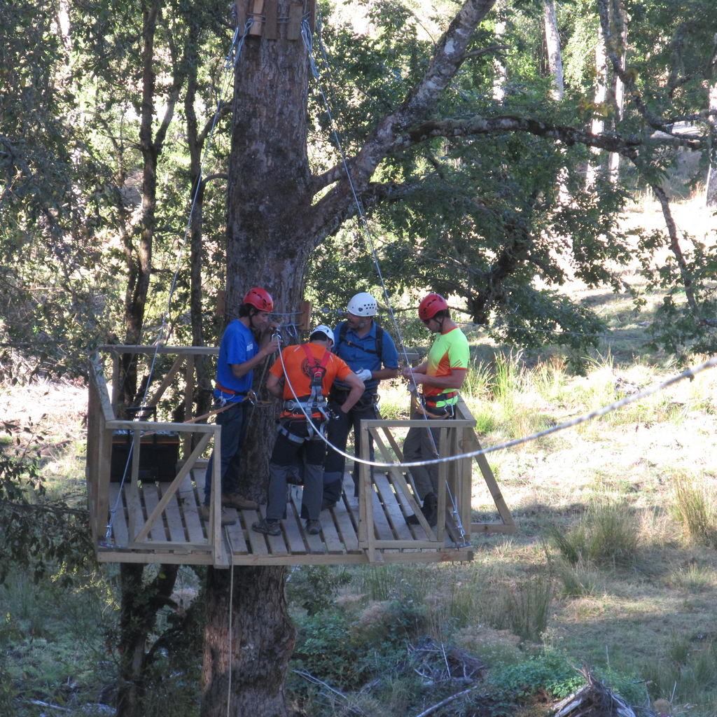 Canopy y Arborismo - Puerto Octay