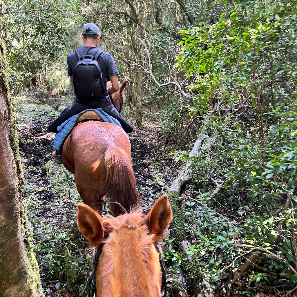 Cabalgata Valle Esperanza - Sin transporte