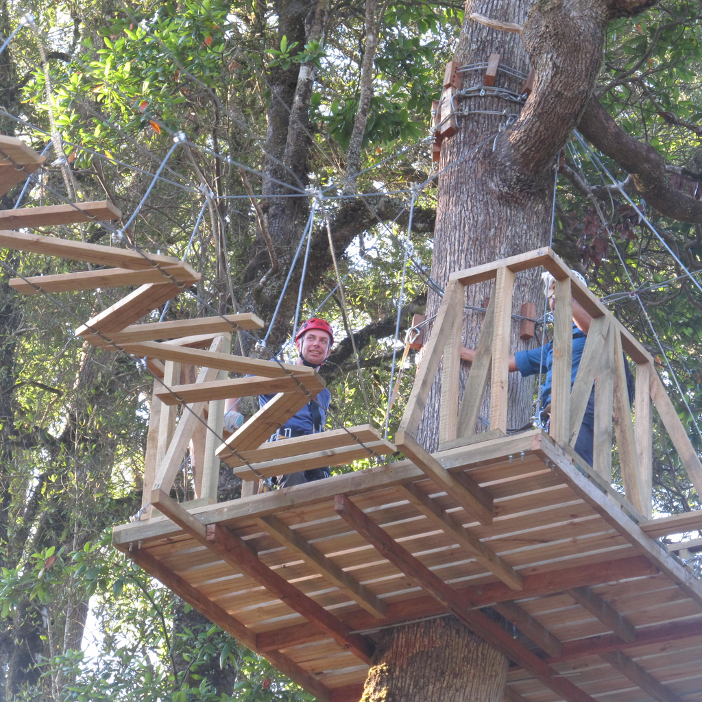 Canopy y Arborismo - Puerto Octay