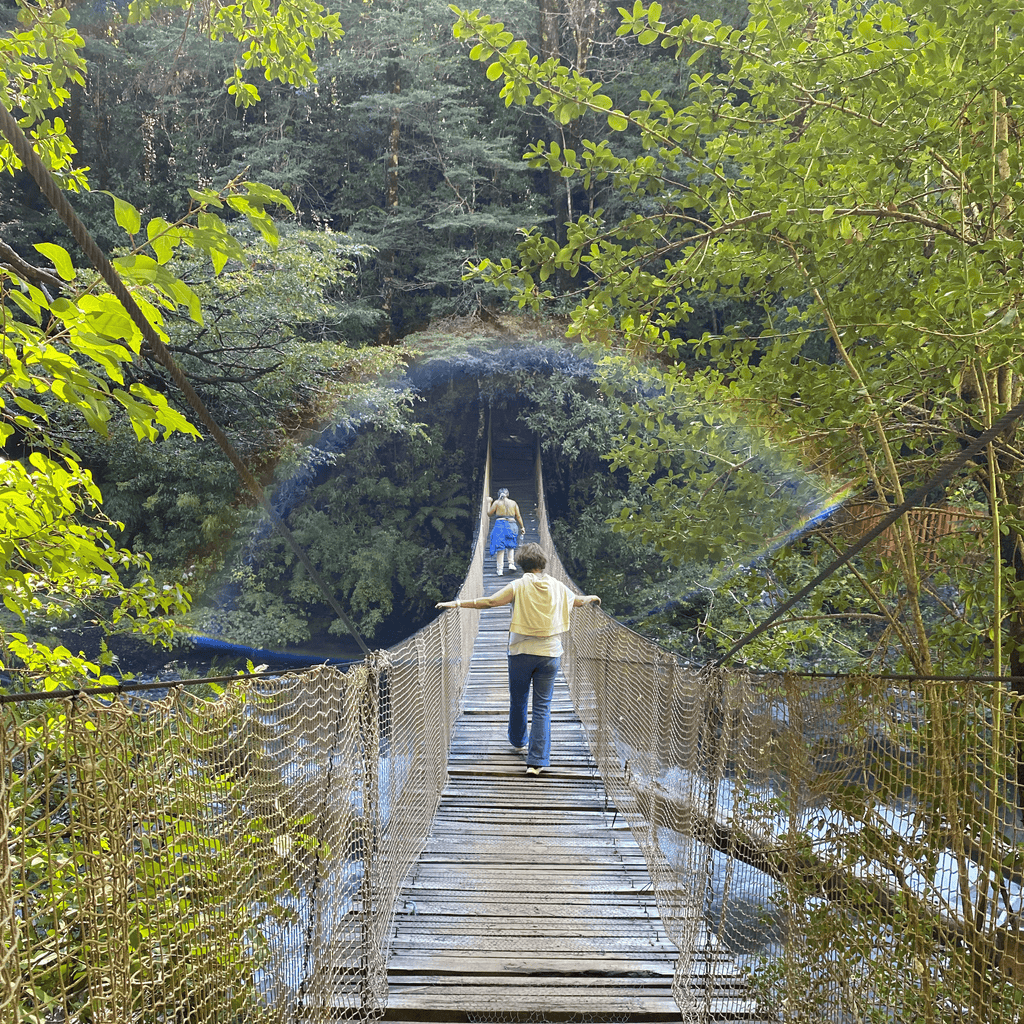 Tour 3 Saltos de Palguin - Pucón