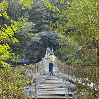 Tour 3 Saltos de Palguin - Pucón
