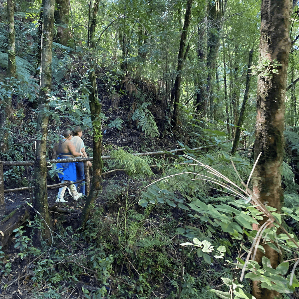 Tour 3 Saltos de Palguin - Pucón