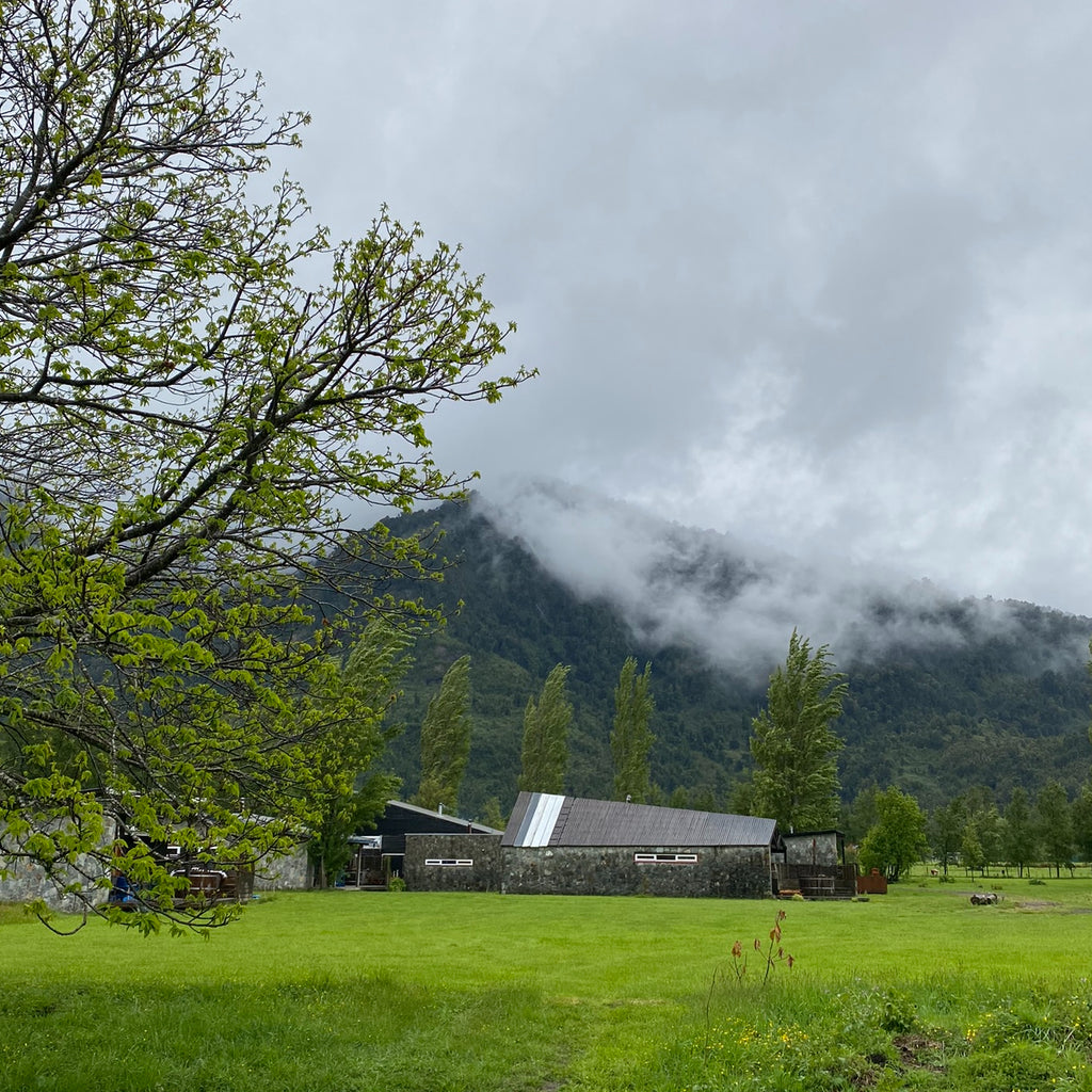 Cosecha tu Alimento en Lago Ranco