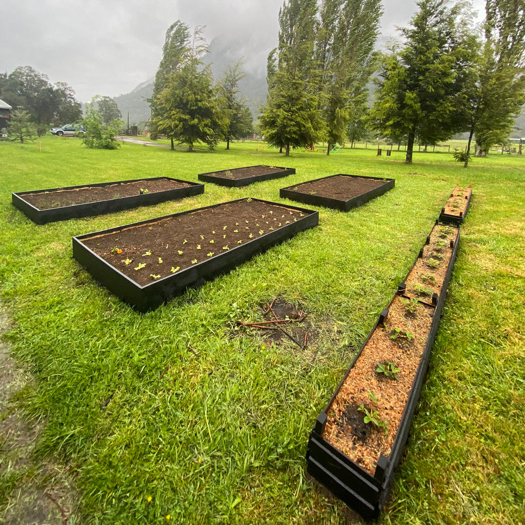Cosecha tu Alimento en Lago Ranco