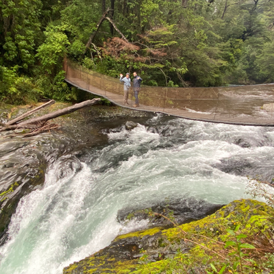 Tour 3 Saltos de Palguin - Pucón