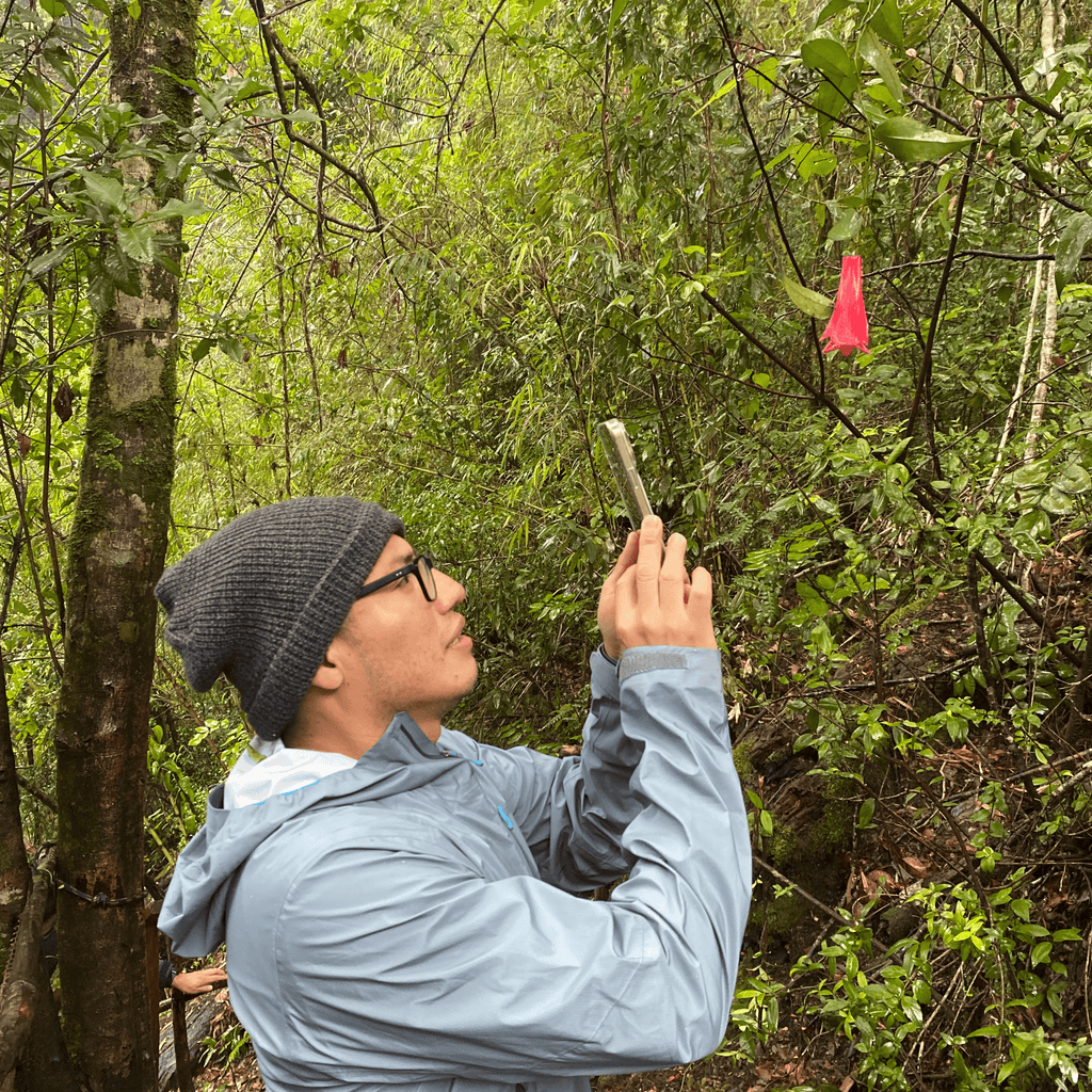 Tour 3 Saltos de Palguin - Pucón