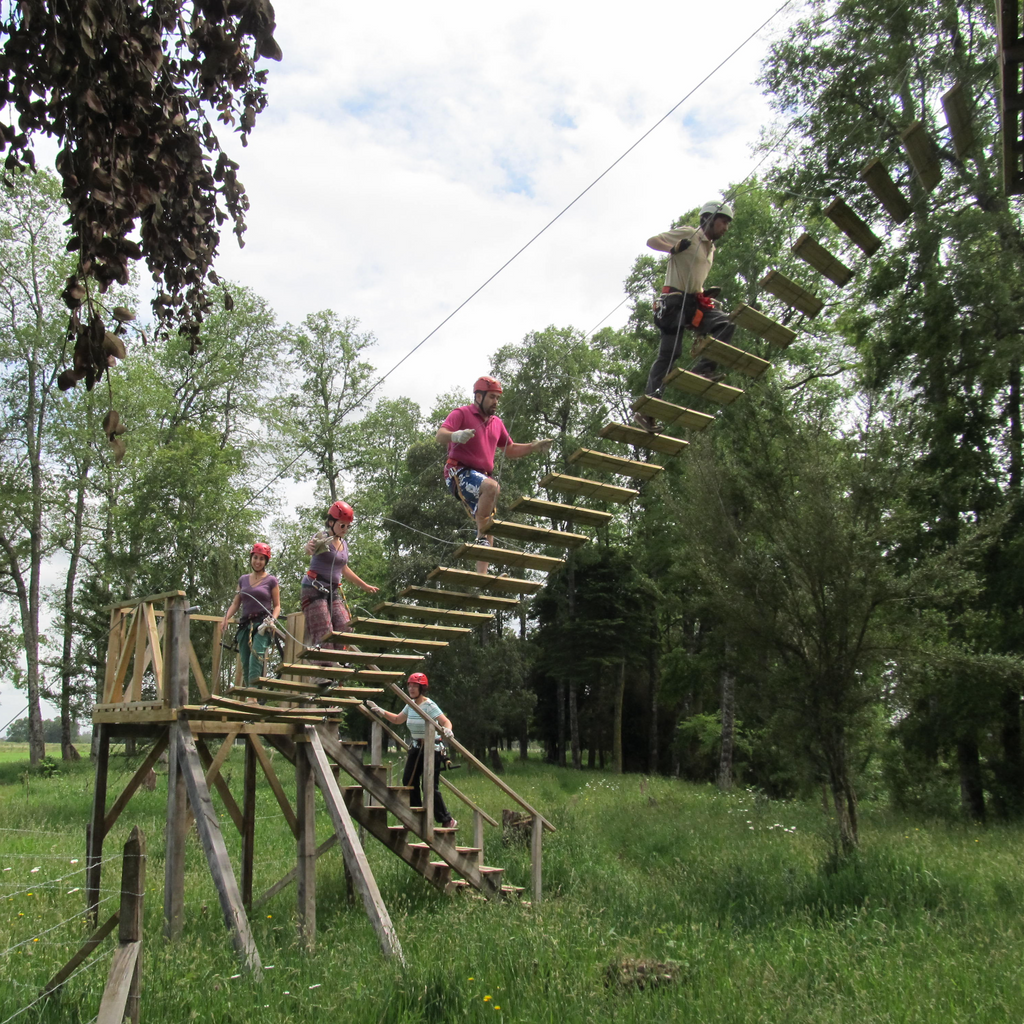 Canopy y Arborismo - Puerto Octay