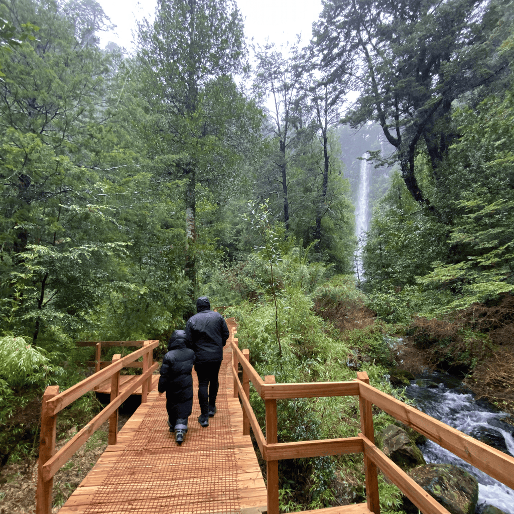 Tour 3 Saltos de Palguin - Pucón