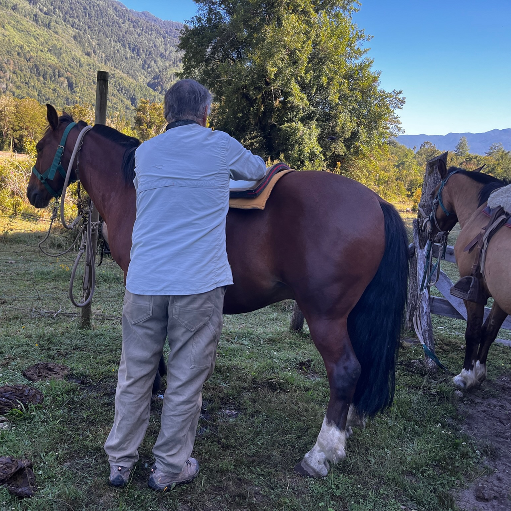 Cabalgata Valle Esperanza - Sin transporte