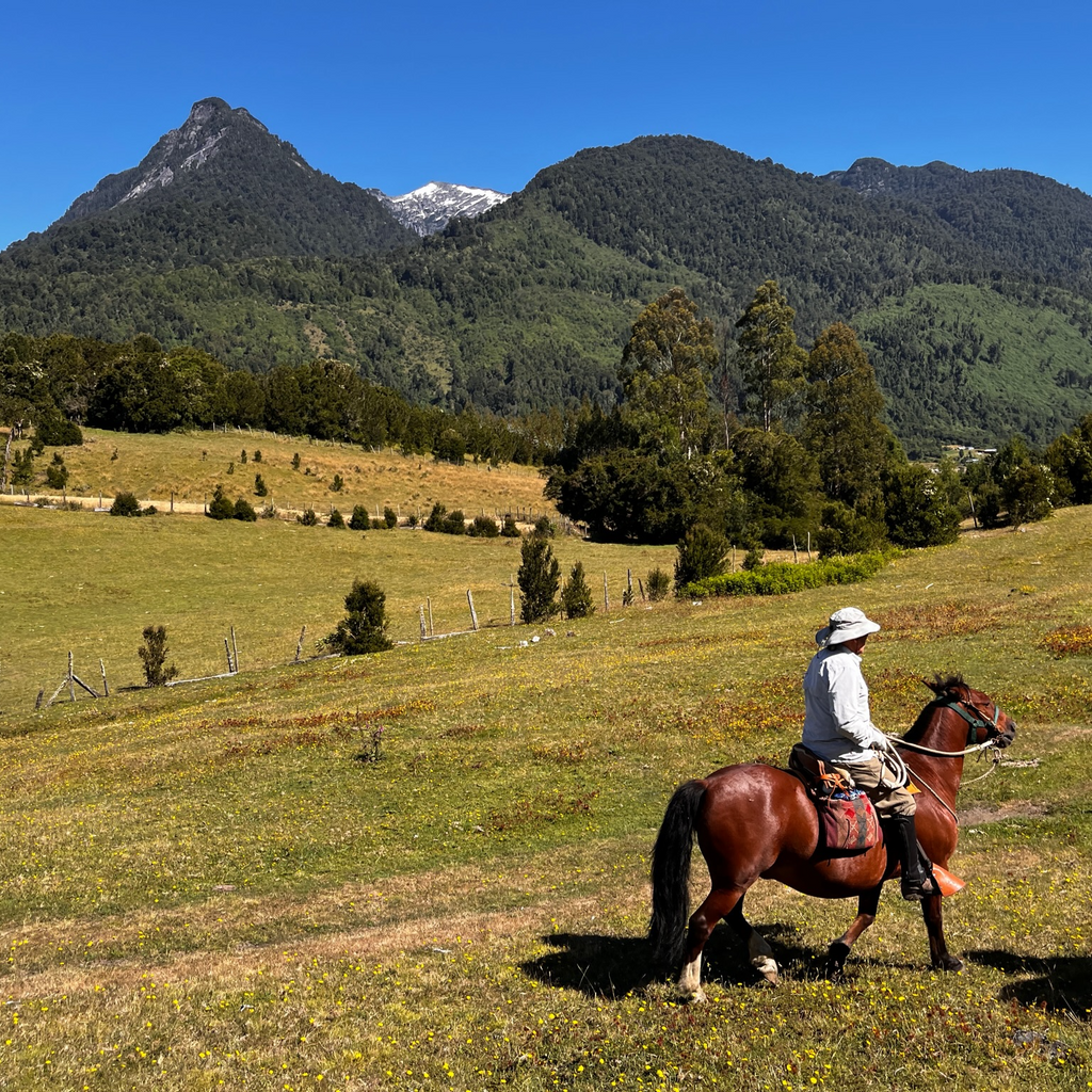 Cabalgata Valle Esperanza - Sin transporte