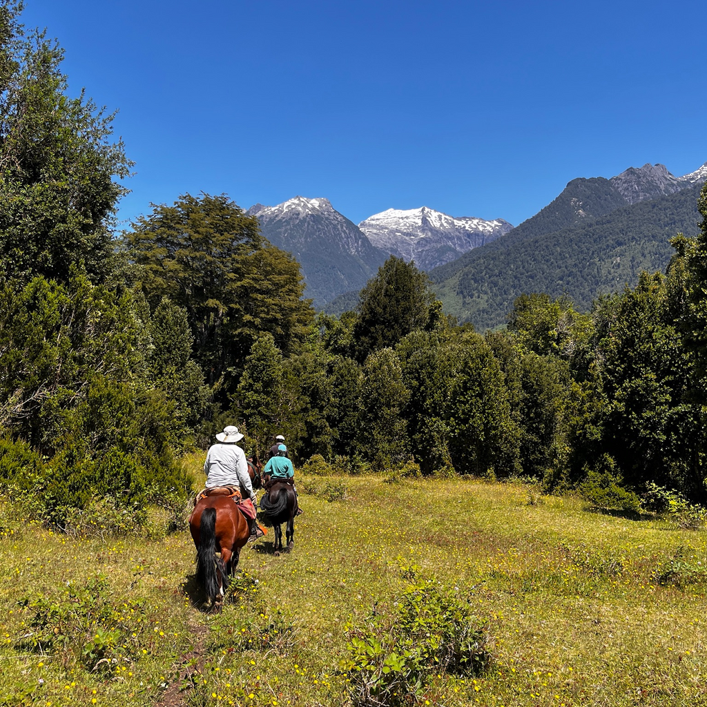 Cabalgata Valle Esperanza - Sin transporte