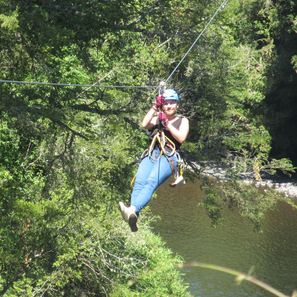 Canopy y Arborismo - Puerto Octay