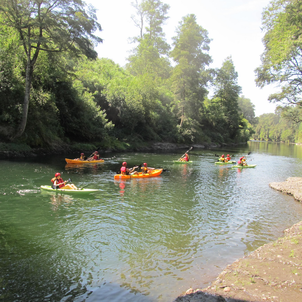 Kayak - Puerto Octay
