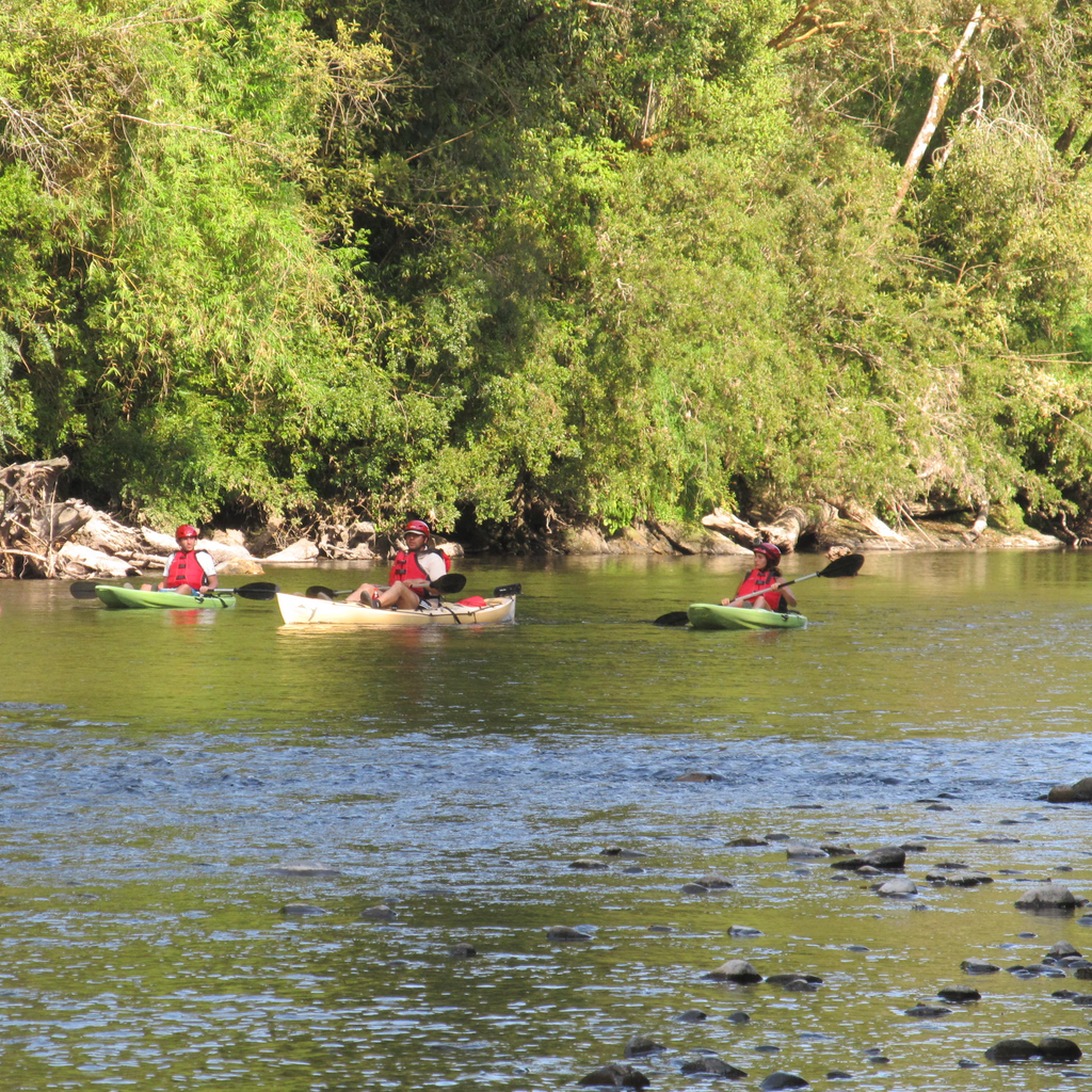 Kayak - Puerto Octay