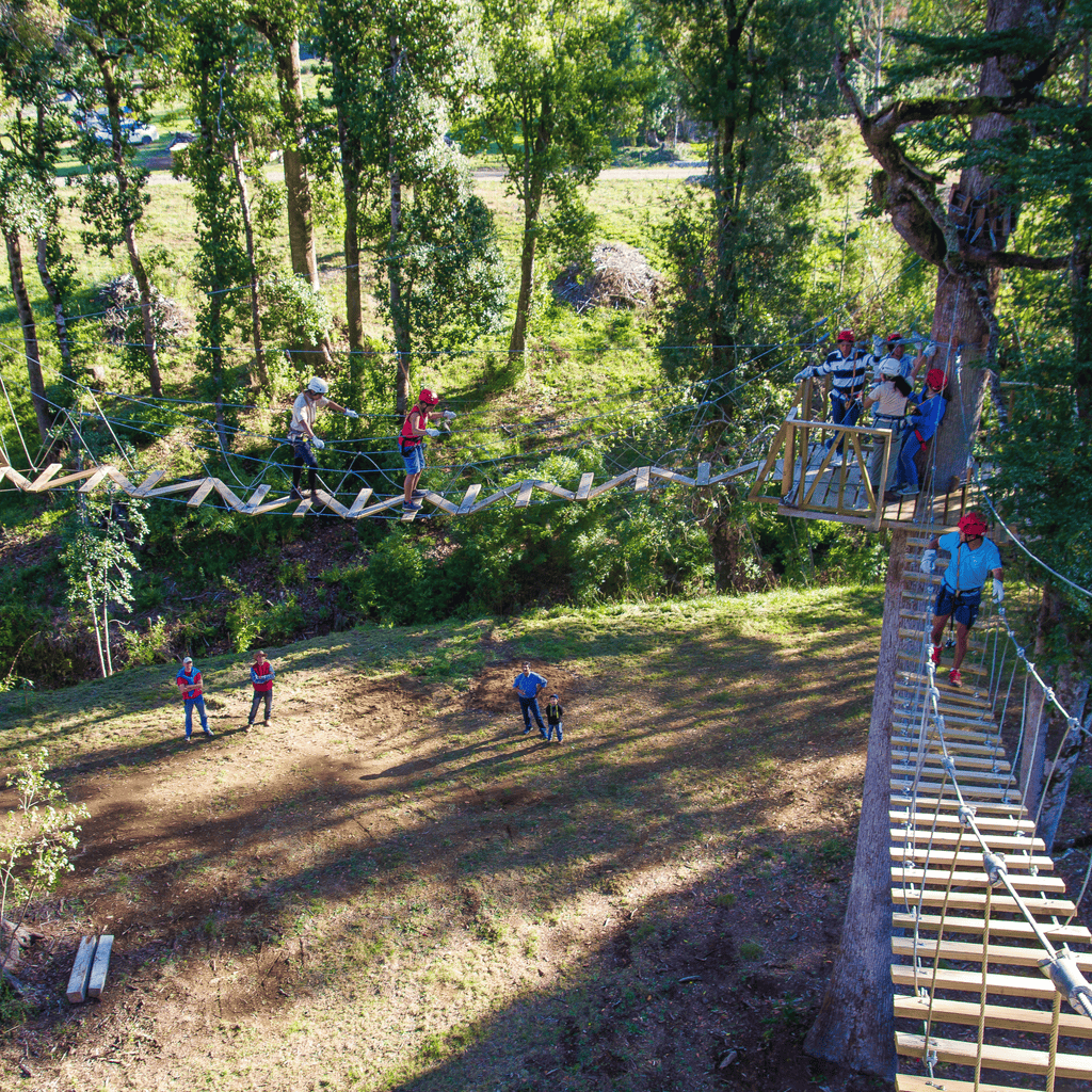Canopy y Arborismo - Puerto Octay