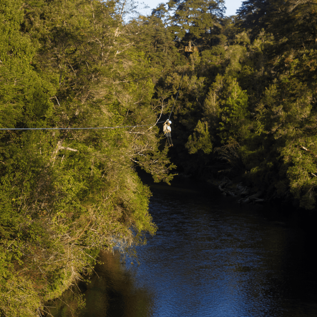 Canopy - Puerto Octay