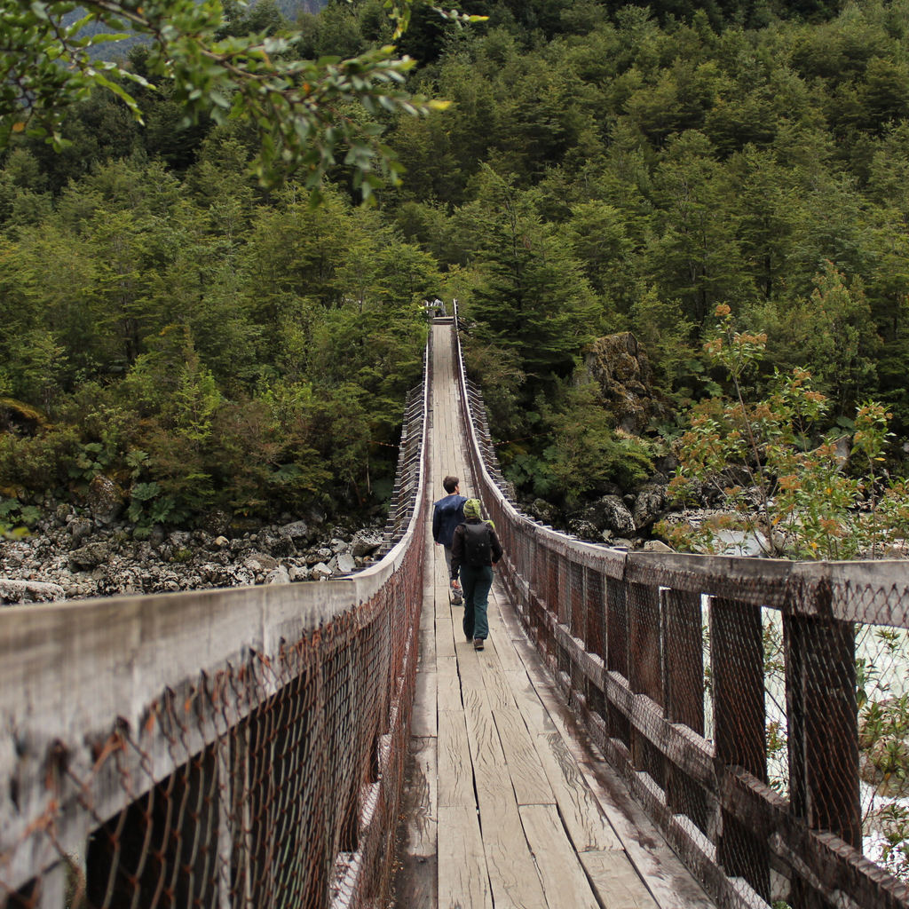 Trekking Ventisquero Queulat - Carretera Austral